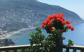 Sussurri Di Mare